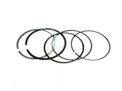 ANEIS DE  SEGMENTO 1.00 PARA XLX 250 1990 A 1994