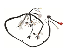 FIACAOPRINCIPAL PARA POP 100 2009 A 2010