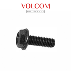 PARAFUSO FLANGE 5X14 ACO DE FIXACAO DA COROA DO COMANDO (CHAVE 8MM) PARA CARGO125 ES 2009 A 2014 - NXR 150 BROS KS 2006 2007 A 2013 - XRE 190A 2016 A 2025